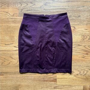 Silence + Noise Silky & Sleek Plum Purple Skirt with Contouring Darts, Size 6